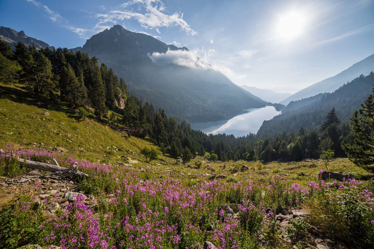 Aigüestortes i Estany de Sant Maurici National Park