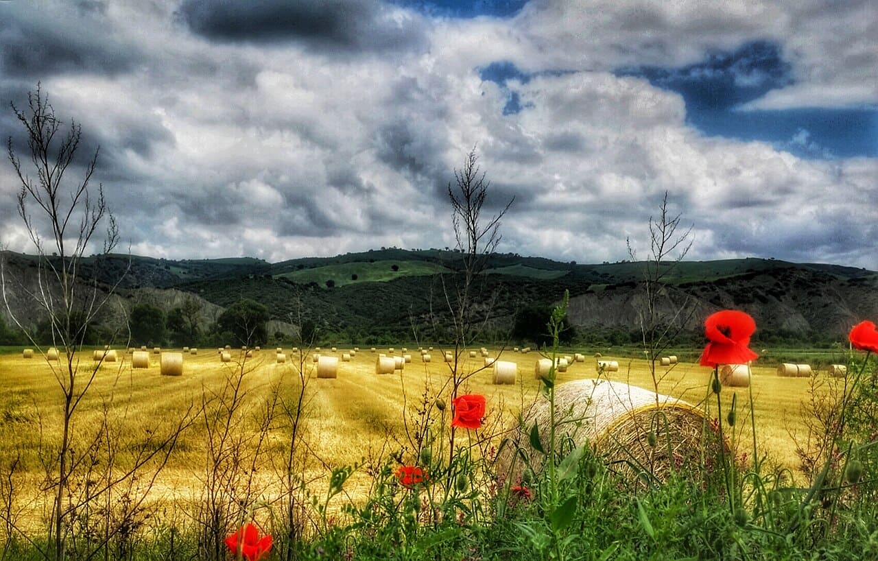 Appennino Lucano – Val d'Agri – Lagonegrese National Park