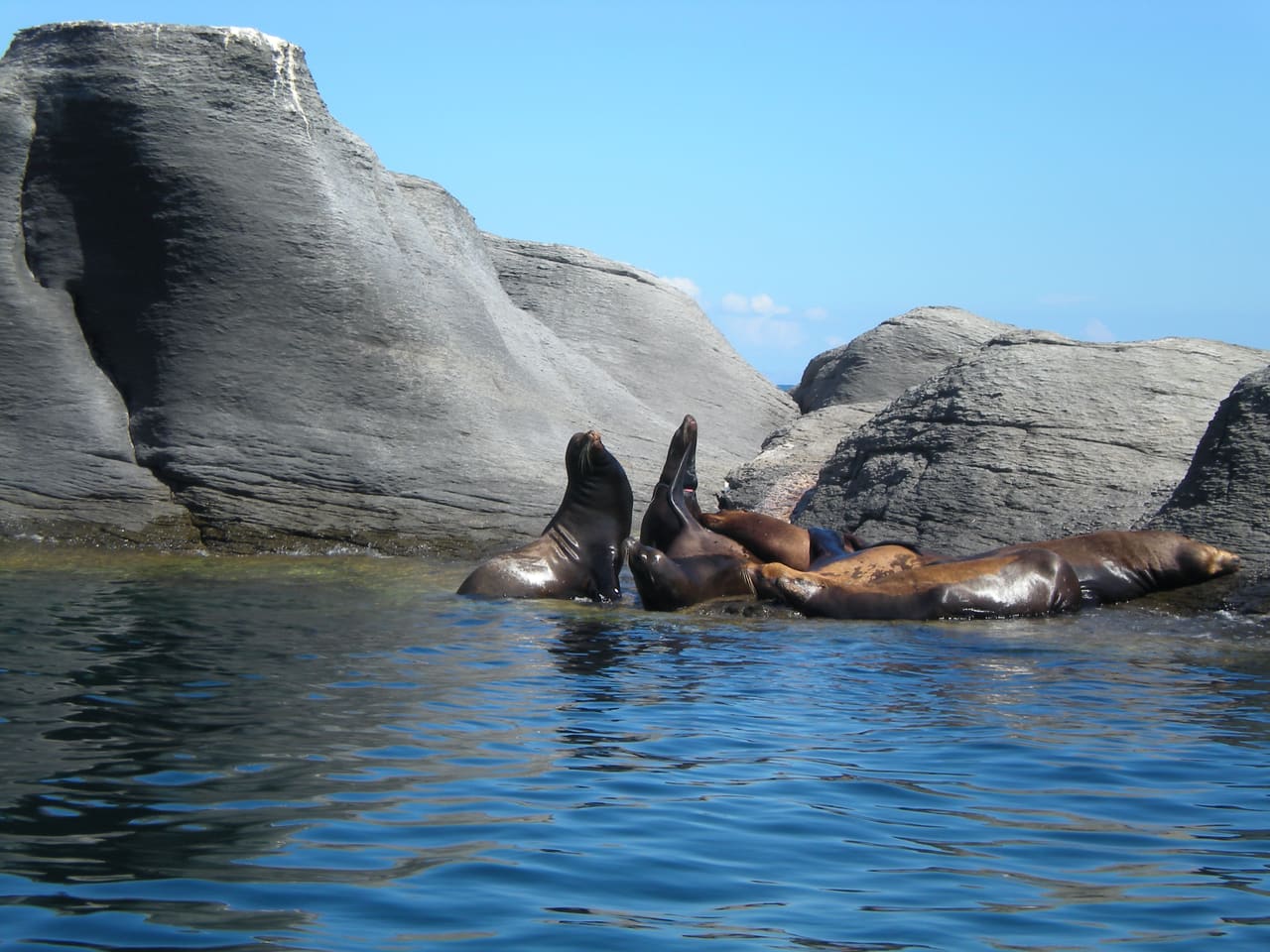 Bahía de Loreto National Park