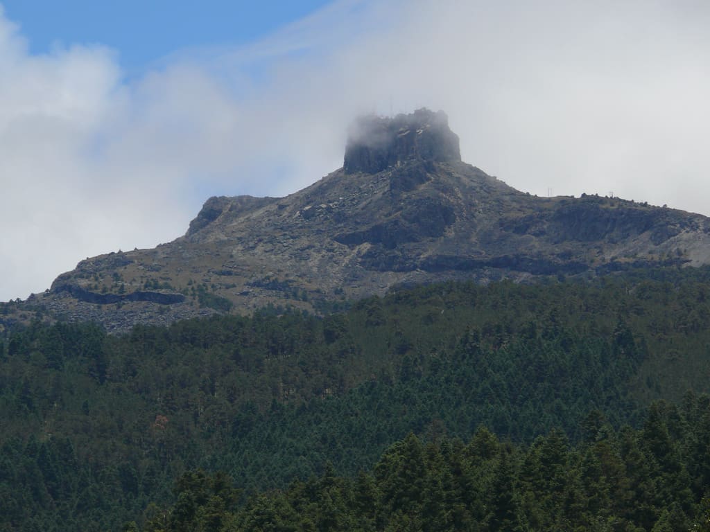 Cofre de Perote National Park