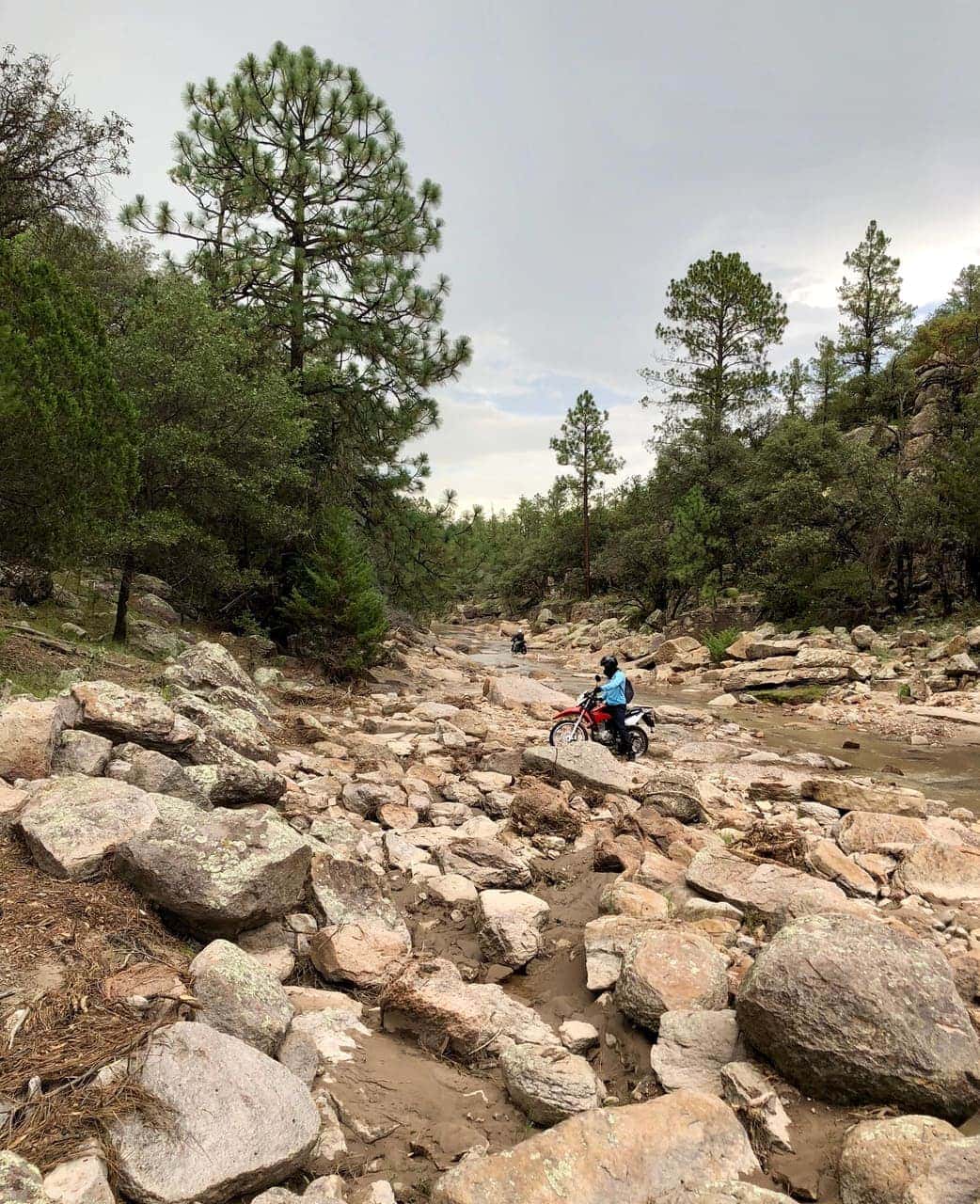 Cumbres de Majalca National Park