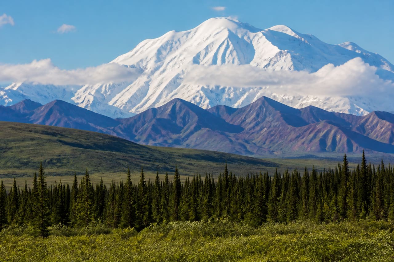 Denali National Park