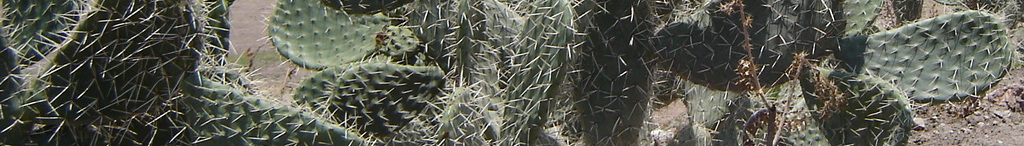 Gogorrón National Park