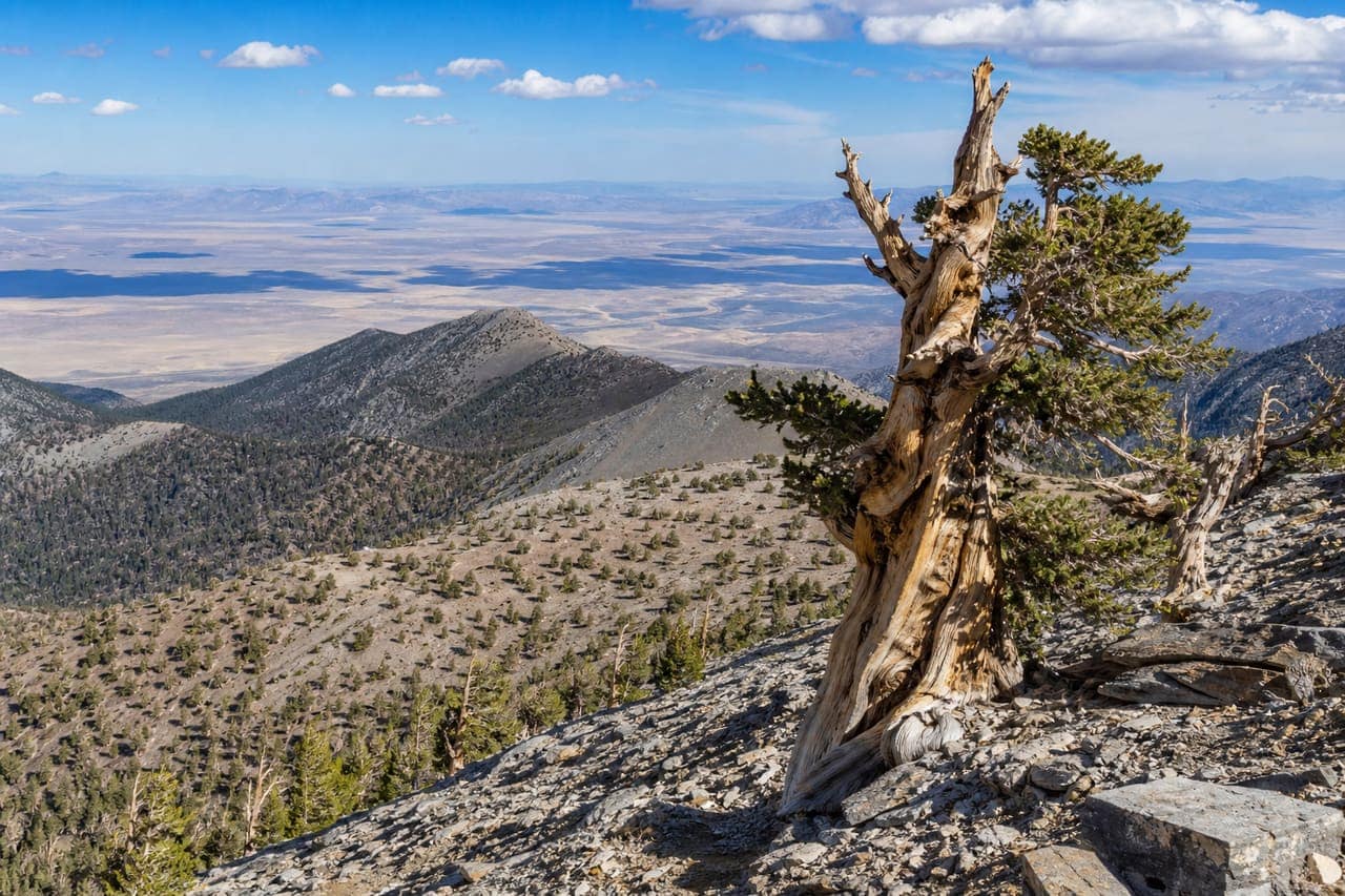 Great Basin National Park