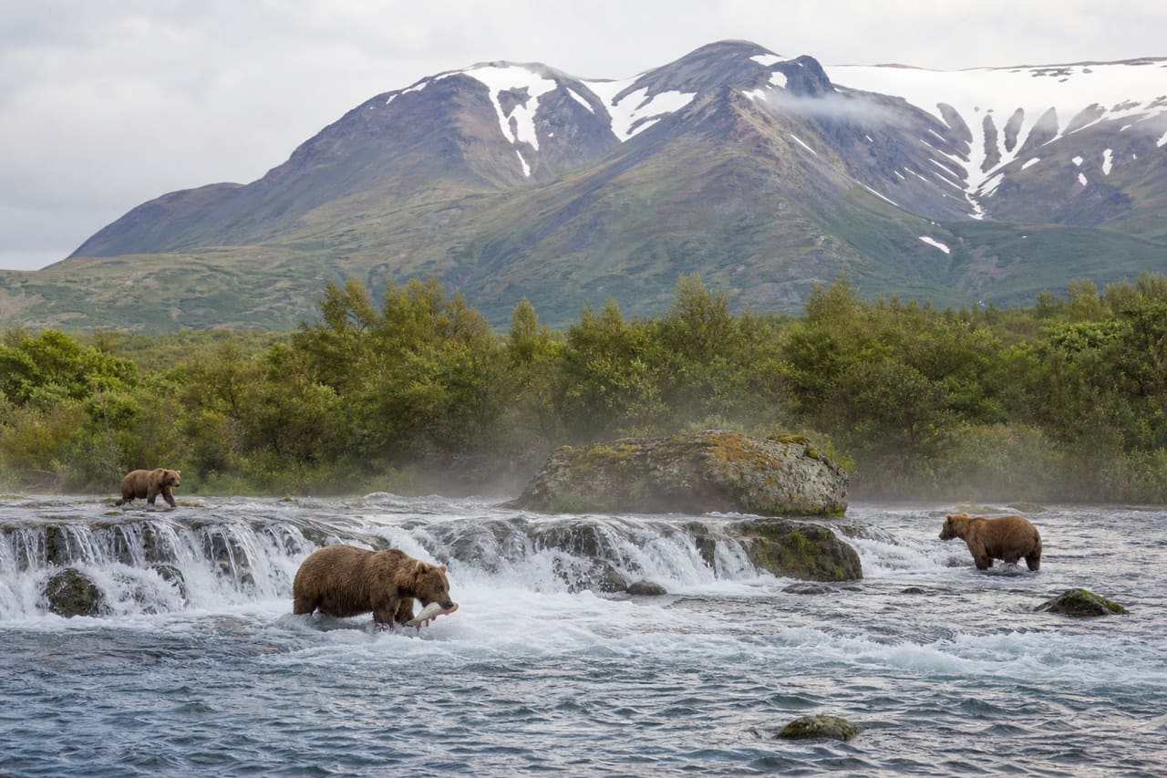 Katmai National Park