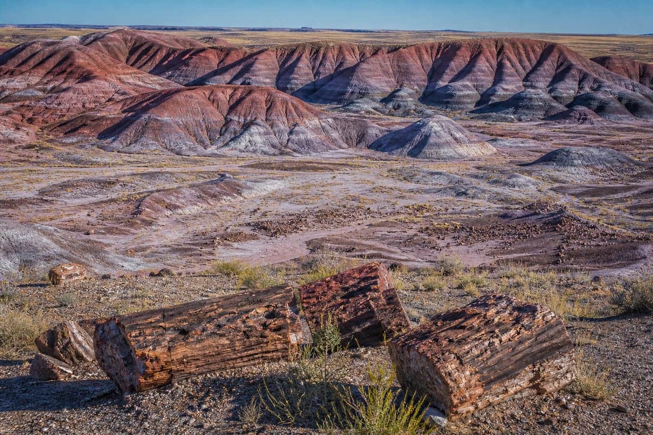 Petrified Forest National Park