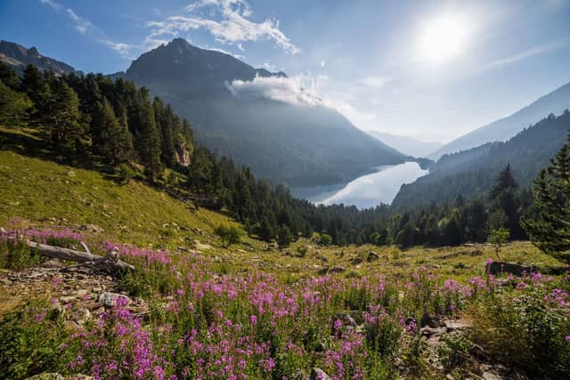 Aigüestortes i Estany de Sant Maurici National Park