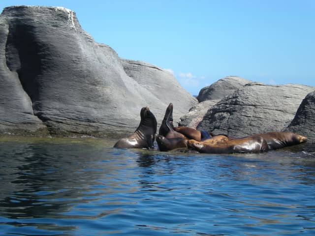 Bahía de Loreto National Park