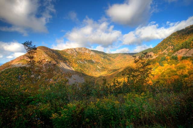 Cape Breton Highlands National Park