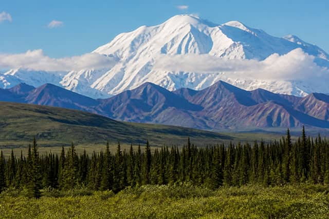 Denali National Park