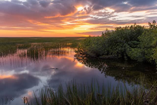 Everglades National Park