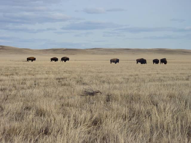 Grasslands National Park
