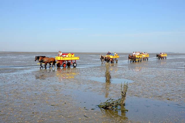 Hamburg Wadden Sea National Park