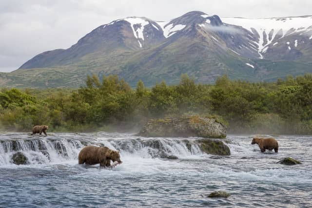 Katmai National Park