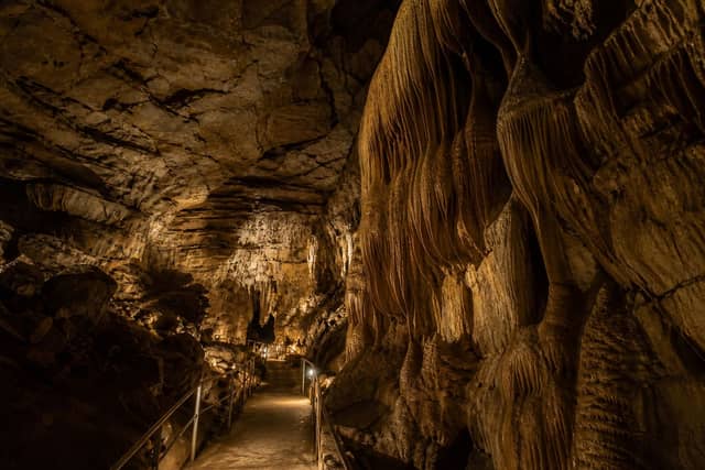 Mammoth Cave National Park