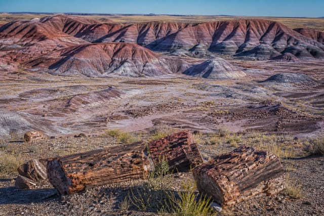 Petrified Forest National Park