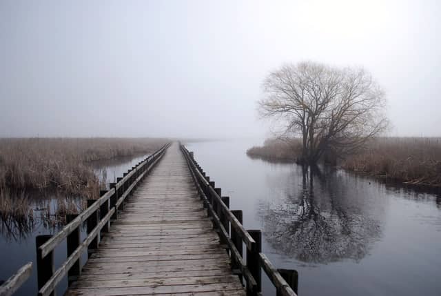 Point Pelee National Park