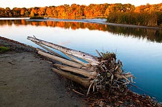 Rouge National Park