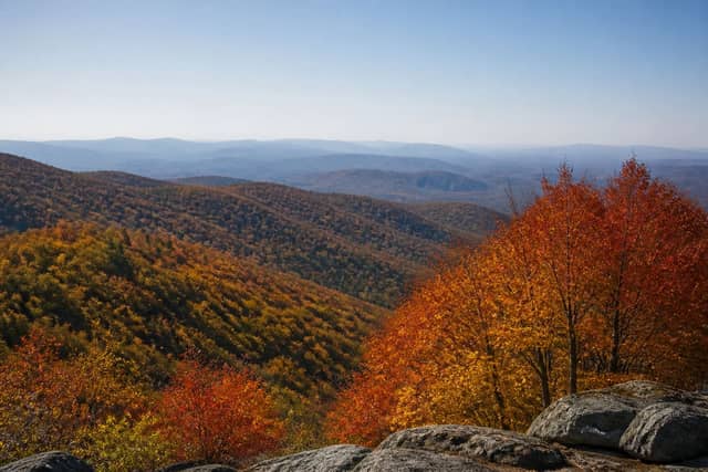 Shenandoah National Park