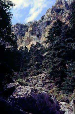Sierra de las Nieves National Park