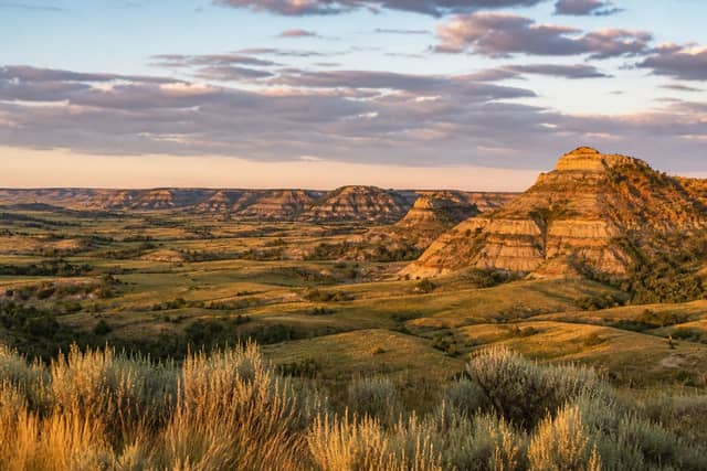 Theodore Roosevelt National Park